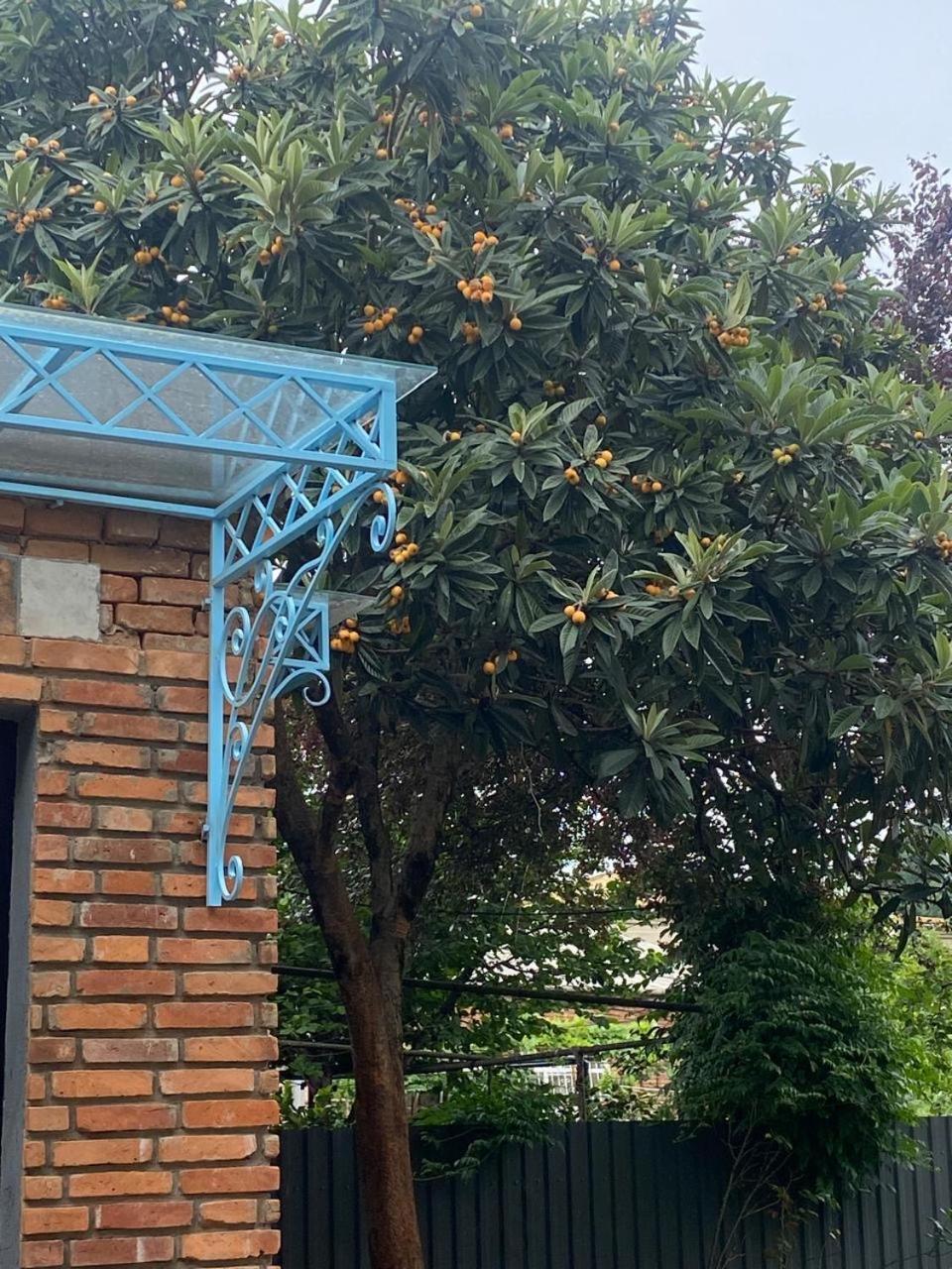 Hotel Varla Koetaisi Buitenkant foto
