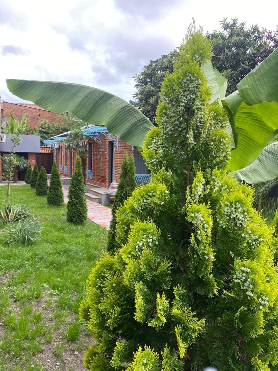 Hotel Varla Koetaisi Buitenkant foto