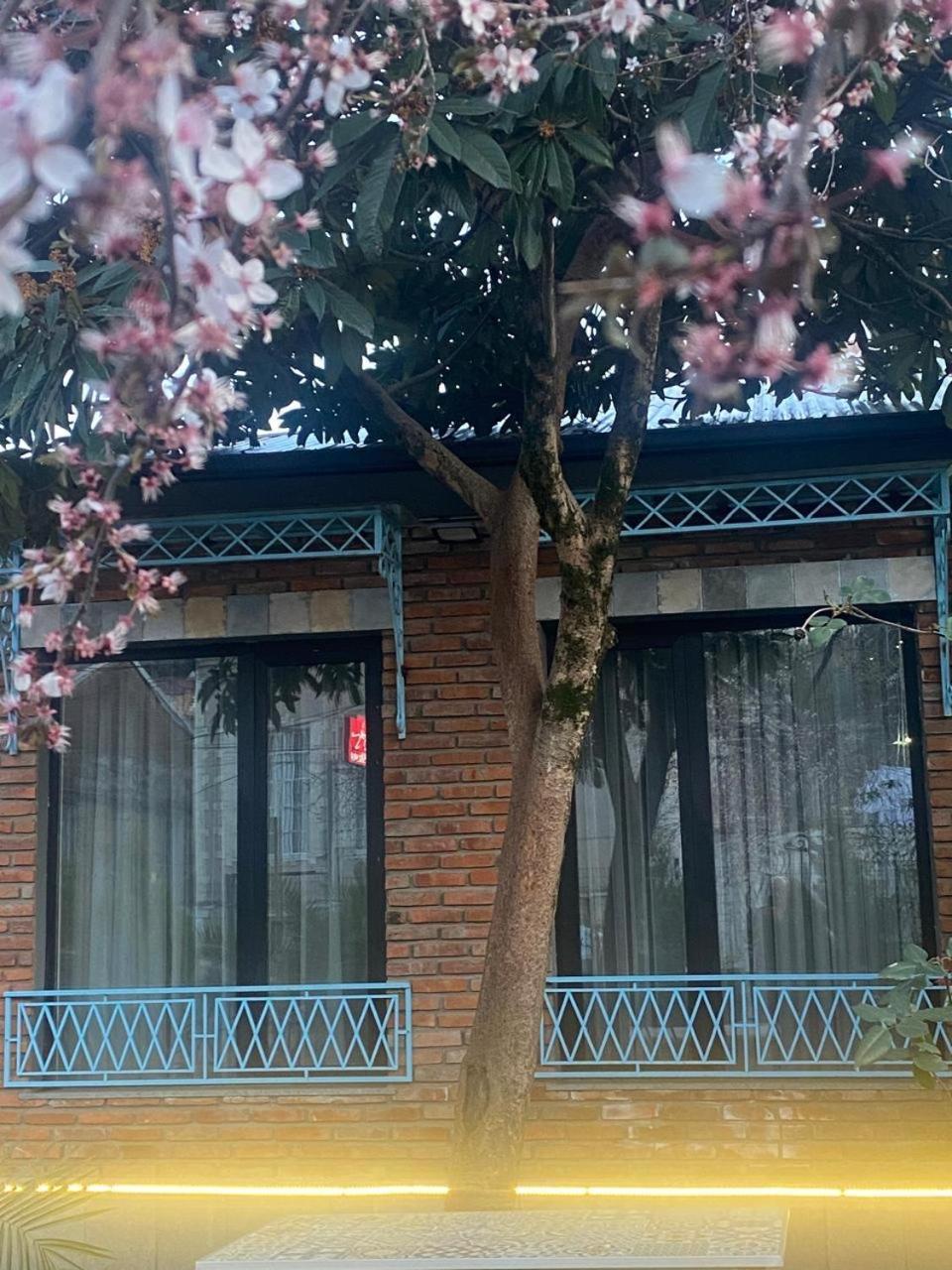 Hotel Varla Koetaisi Buitenkant foto